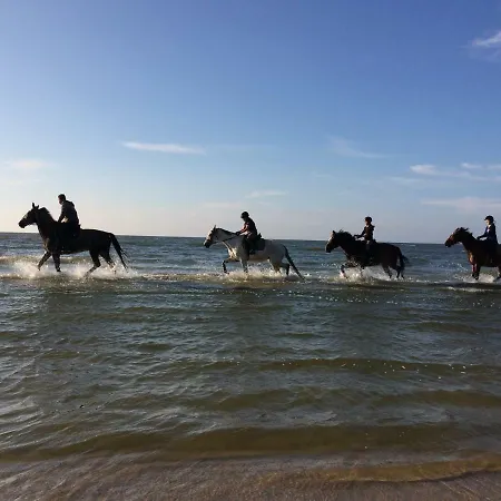 דירה Leba Apartament