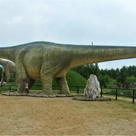 Leba Apartament דירה *