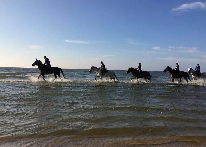 公寓 Leba Apartament