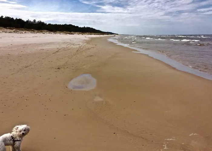 Leba Apartament Apartman